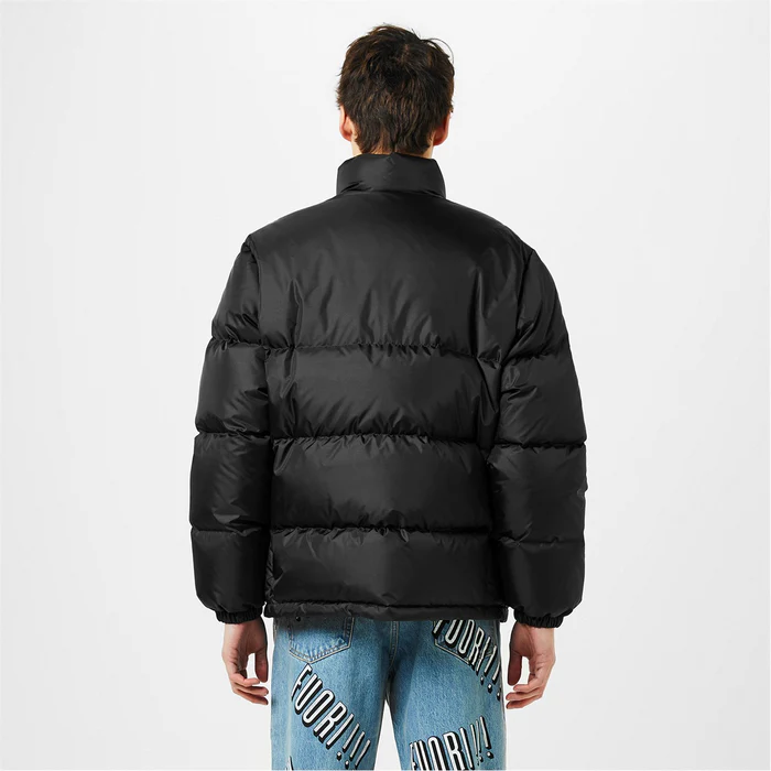 Down jacket/vest