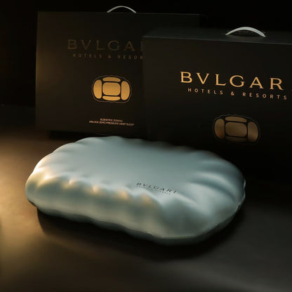 Premium Neck Support Pillow