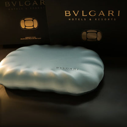 Premium Neck Support Pillow