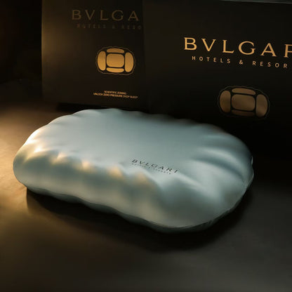 Premium Neck Support Pillow