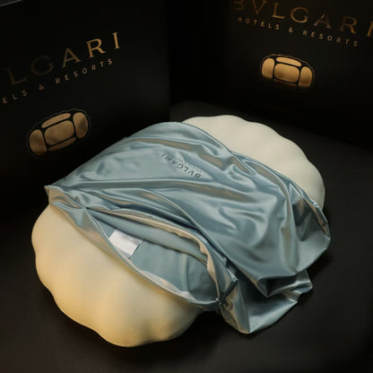 Premium Neck Support Pillow