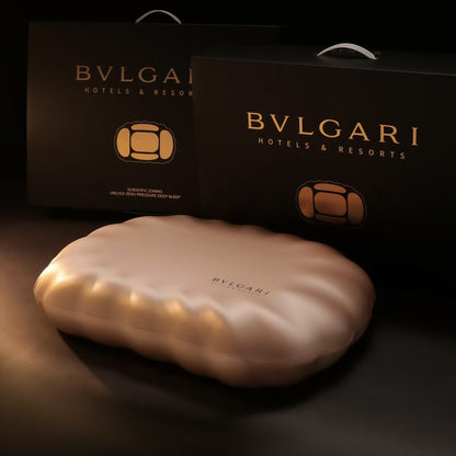 Premium Neck Support Pillow