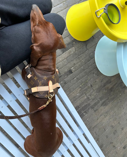 Rocabar dog harness