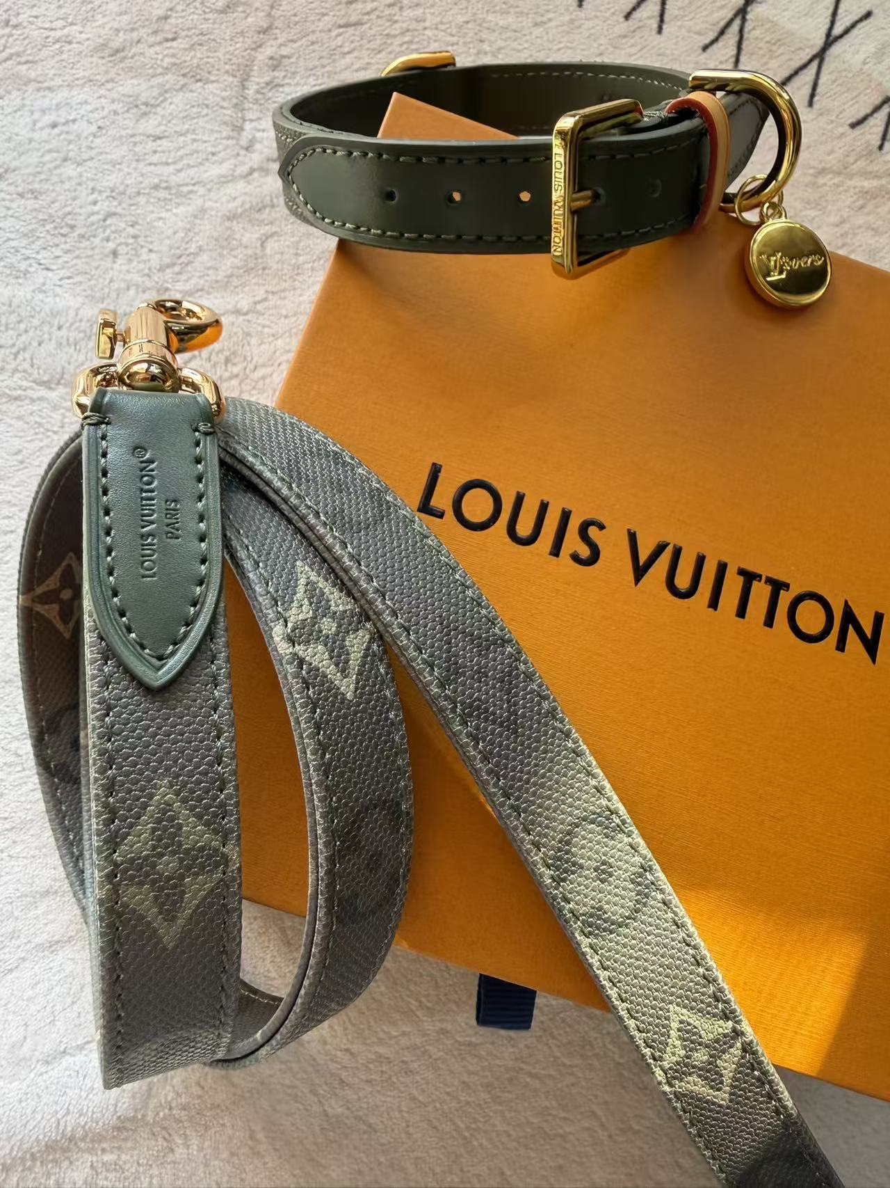 Dog Collar and Leash Set
