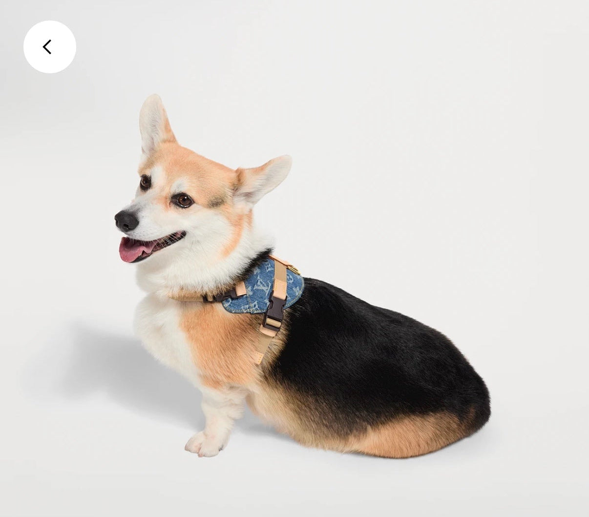 Rocabar dog harness