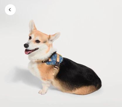 Rocabar dog harness