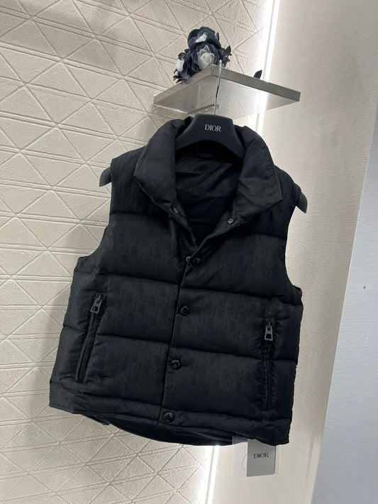 Down vest