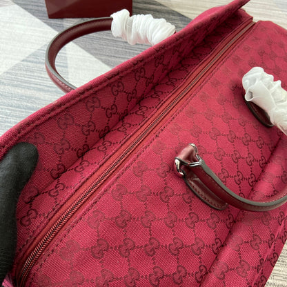 Travel Bag