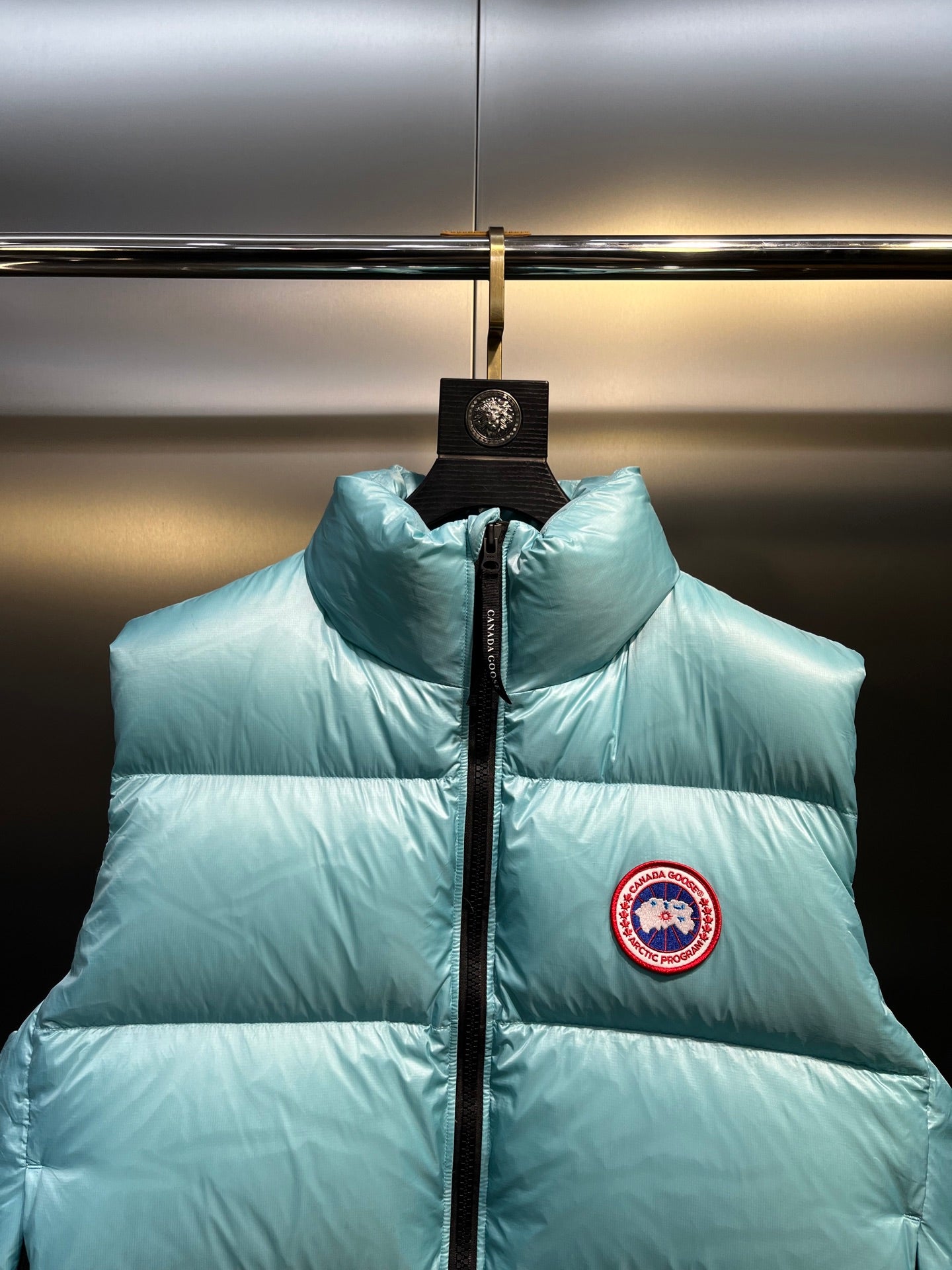 Down Vest