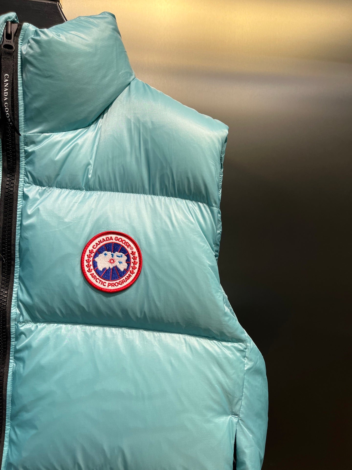 Down Vest
