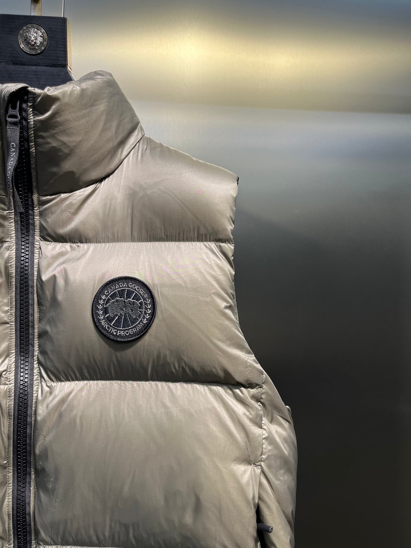 Down Vest