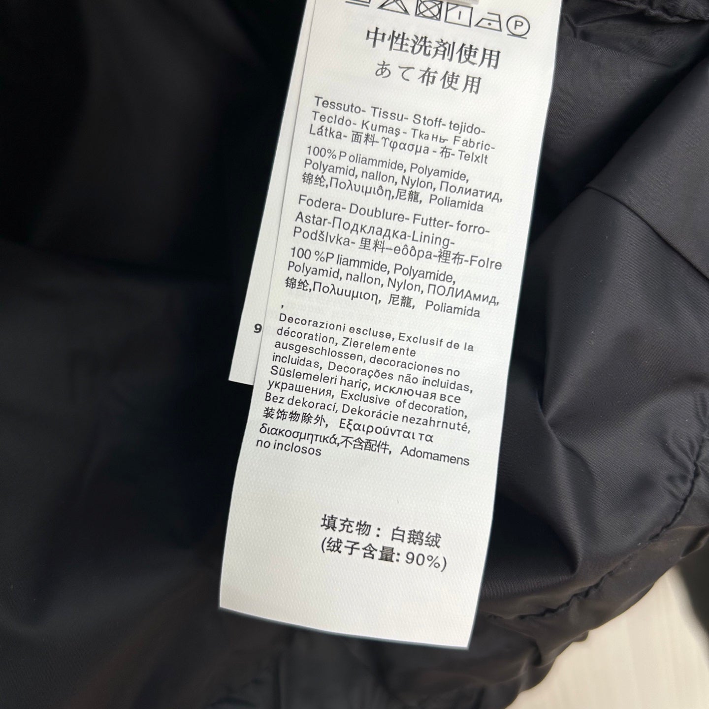Down Jacket