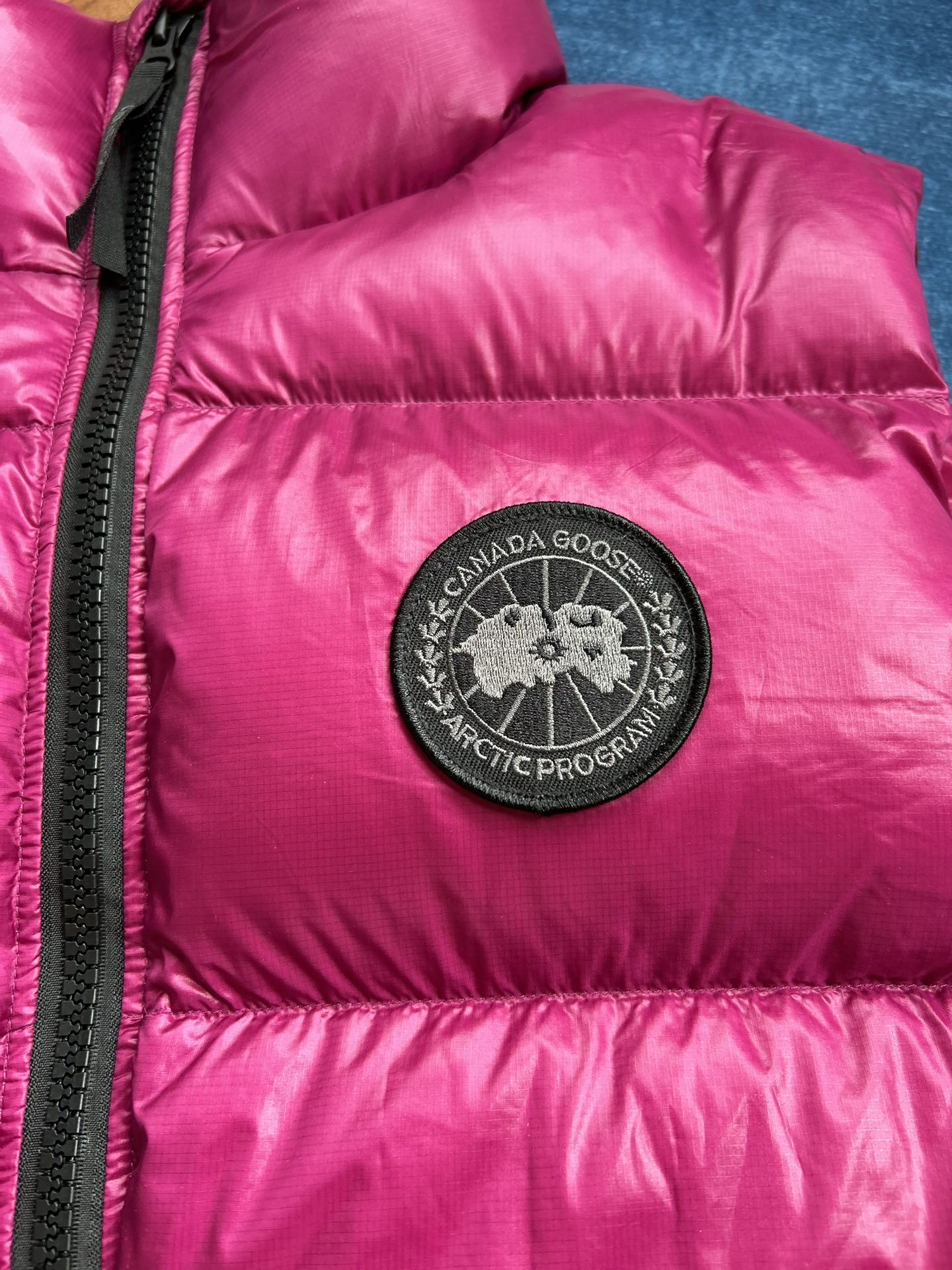 Down Vest