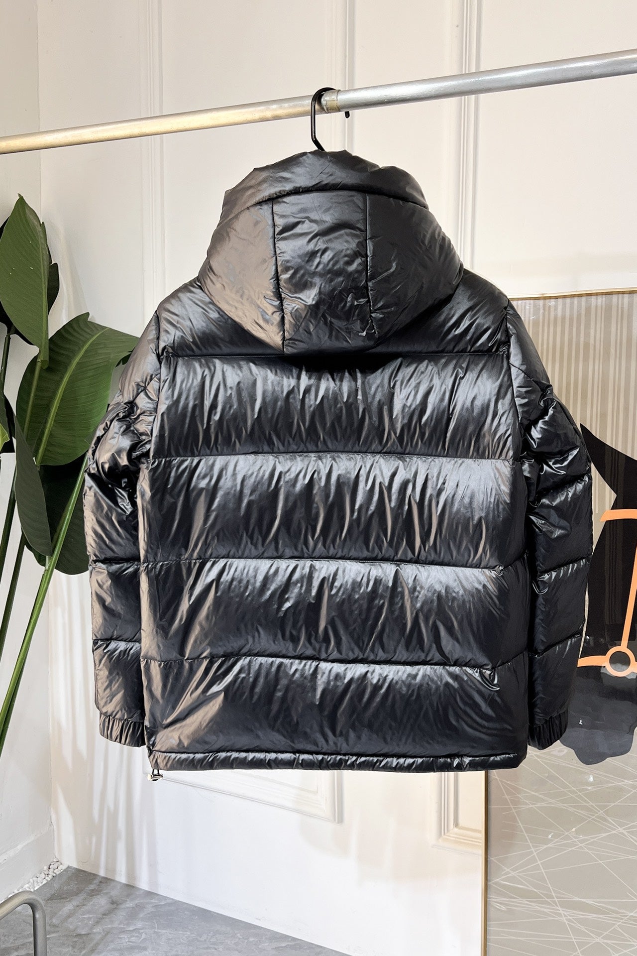 Down Jacket