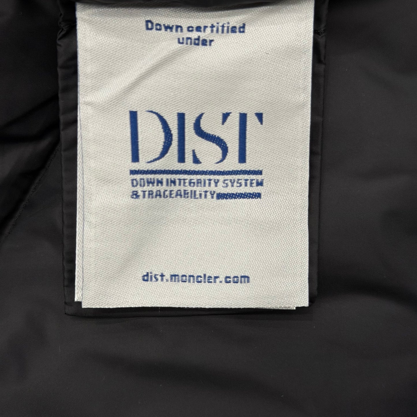 Down Jacket