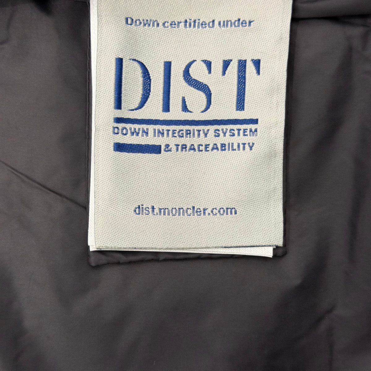 Down Vest