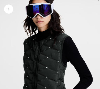 Ski Goggles